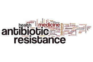 antibiotic resistence 