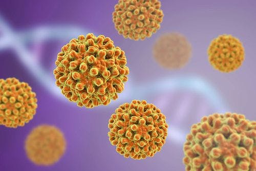 CDC's ACIP Recommends Dynavax's Hepatitis B Vaccine To Prevent Virus In Adults