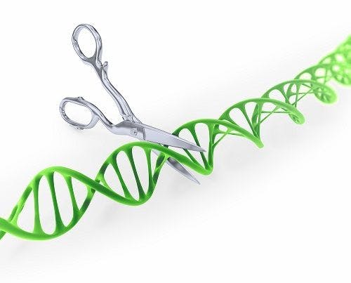 Can Gene Editing Tool CRISPR Dispense With HIV?