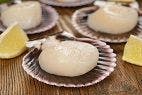 Hepatitis A Outbreak in Hawaii Linked to Raw Scallops