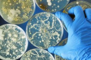 New Phenotyping AST System a Useful Tool in Antibiotic Resistance Battle