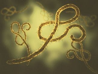 Single-Dose Of Ebola Vaccine May Provide Protection Against Deadly Disease for Up to 2 Years