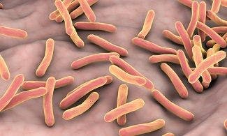 Rifampicin Safer than Isoniazid for Latent Tuberculosis, Study Suggests