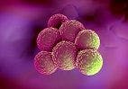 Risk Factors for Invasive MRSA Infection in MRSA-Colonized Patients