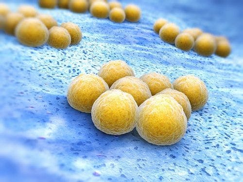 What Makes Delafloxacin a Unique Antibiotic for Skin Infections?