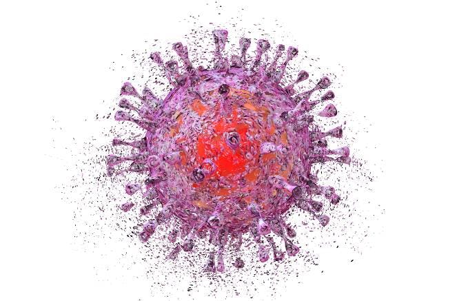 microscopic image of cytomegalovirus pathogen