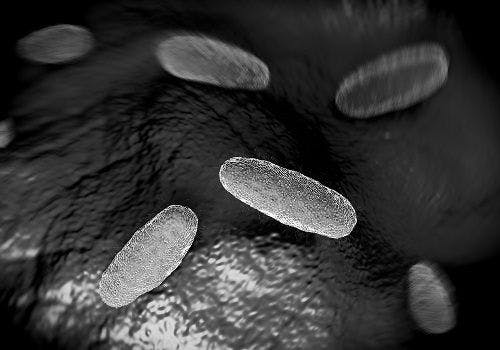 Multidrug-Resistant Gene Found in Salmonella