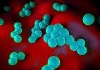 Novel Treatment for MRSA Submitted for Review to US FDA