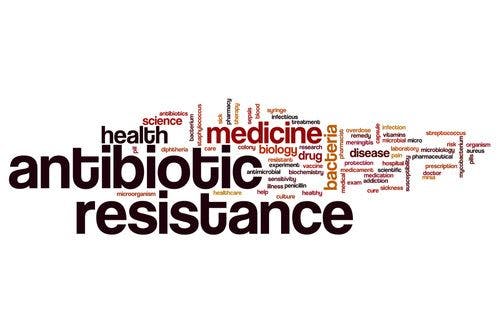 WHO's New Surveillance System Finds High Levels of Antibiotic Resistance Worldwide