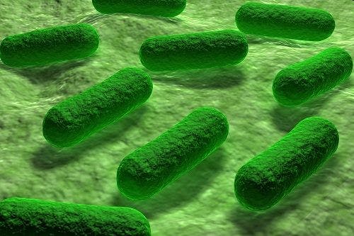 California Patient Dies with Superbug Infection