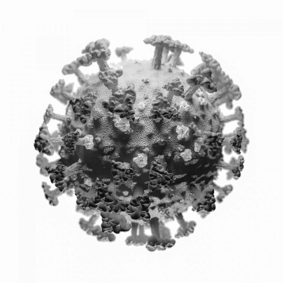 coronavirus, remdesivir, covid-19