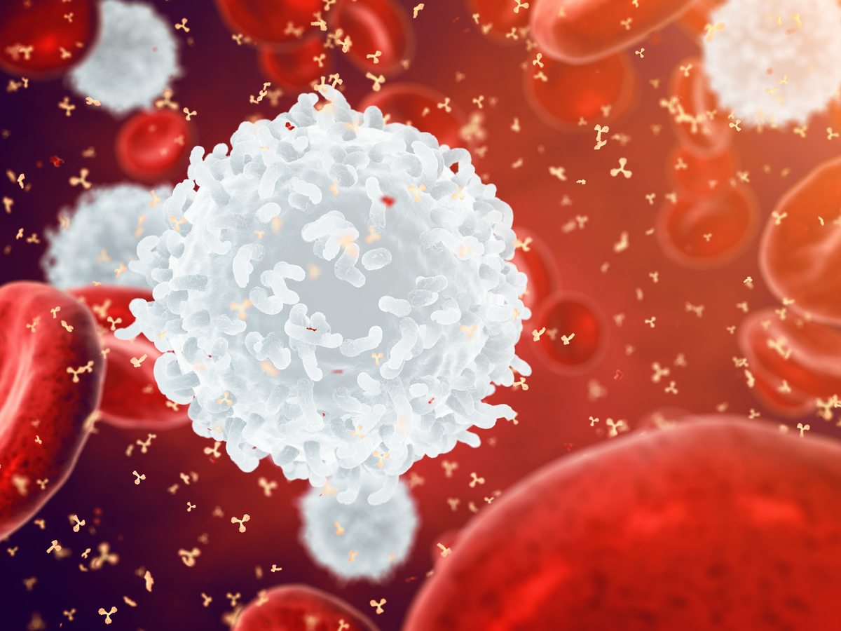 Rare White Blood Cells Could Play Critical Role in Sepsis Prevention