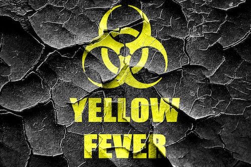 Yellow Fever Outbreak in Brazil Causes Hundreds of Deaths
