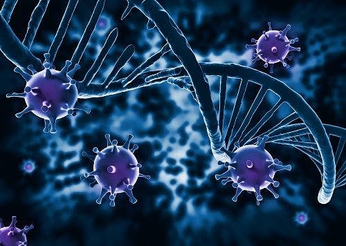 HIV Viral DNA Cells Persist in Cerebrospinal Fluid Despite Long-Term ART