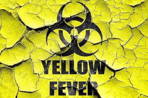 Brazil Yellow Fever Outbreak Persists Although Number of Cases Has Stabilized