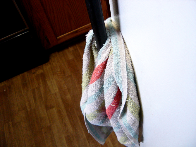 Kitchen Towels Harbor Pathogens Responsible for Food Poisoning