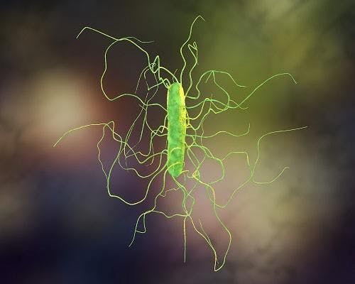 Improved Testing and Treatment Strategies for C. Difficile Offered in New Review