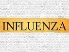 A New Approach to Influenza Therapy: Reducing the Serious Risks of Influenza by Targeting an Inflammatory Pathway