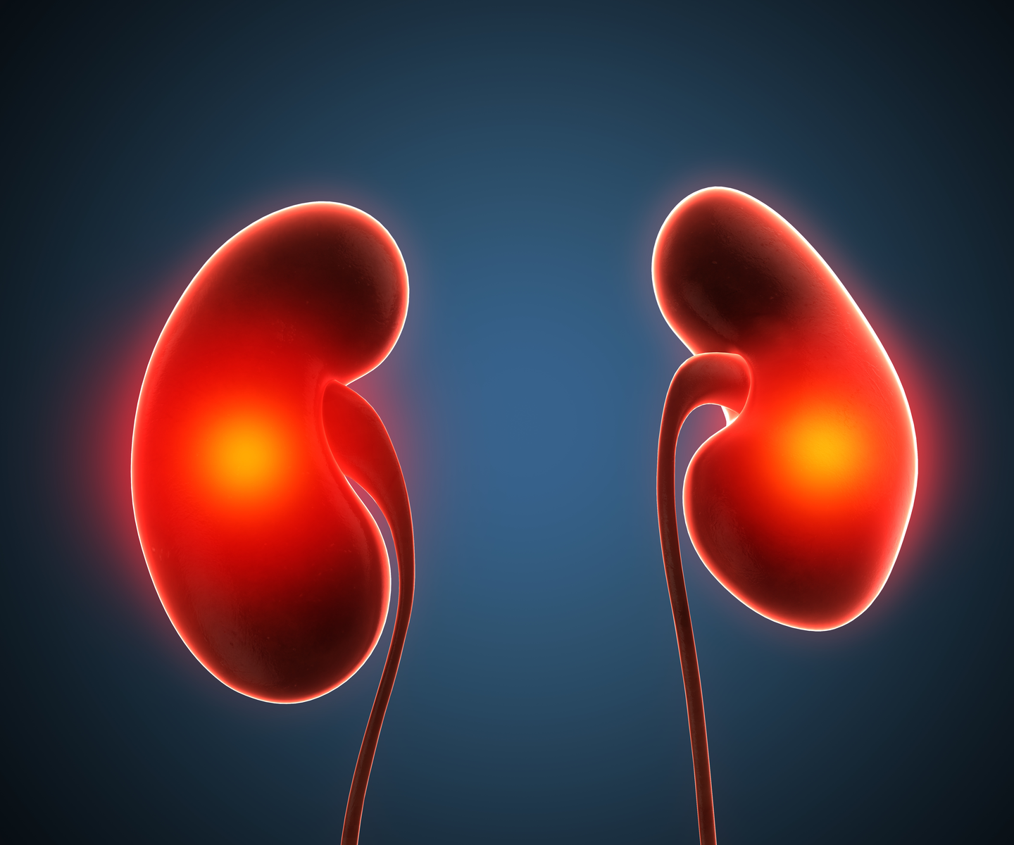 Short-Term Use of Gentamicin Does Not Harm Kidneys, Study Finds