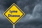 Lyme Disease in Western US Could Rise as a Result of El Niño