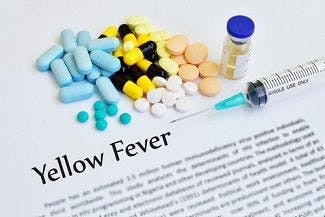 Anti-Yellow Fever Virus Antibody Passes Phase 1 Trial