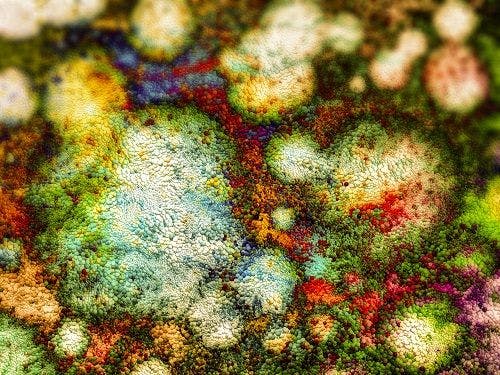 New Study Finds 99% of Microbes in Human Body Previously Unknown