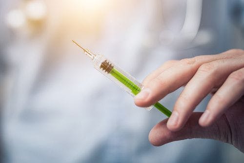 Study to Evaluate Experimental Adjuvants for Seasonal Influenza Vaccine