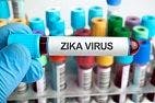 FDA Grants Emergency Use Authorization for Zika Test as Local Zika Transmission Increases
