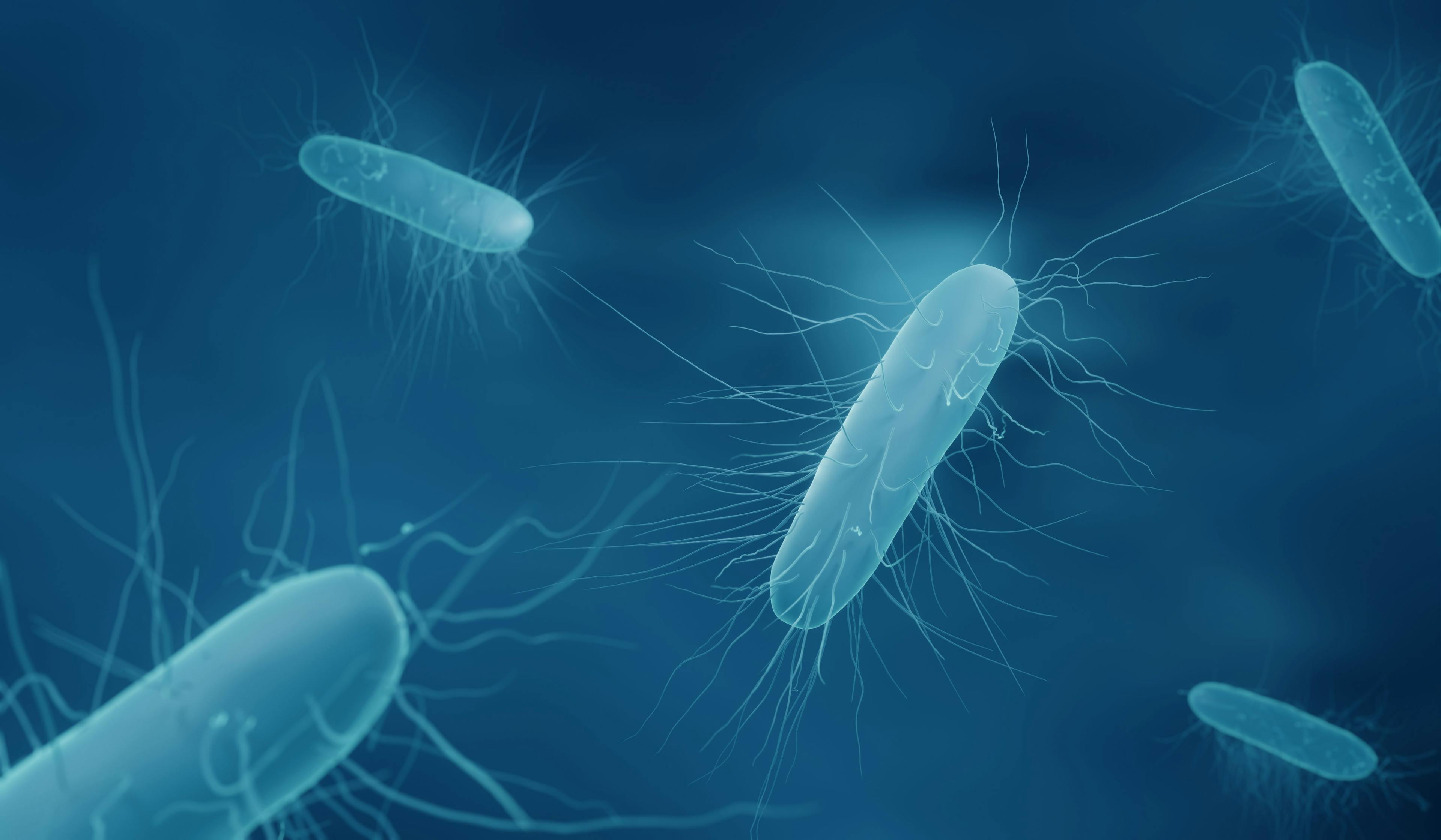Concomitant antibiotic (CA) use for infection treatment is a major risk factor for recurrent C difficile infection. One SHEA 2022 study examine whether fidaxomicin or vancomycin would be more beneficial for CA patients.