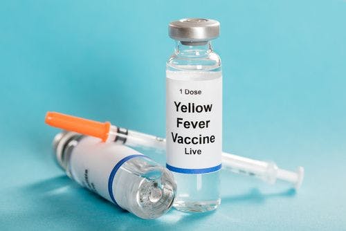 Yellow Fever Vaccination Campaigns May Be Key to Eliminating Epidemics Worldwide