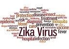 Research on DNA-based Zika Virus Vaccine Yields Positive Results