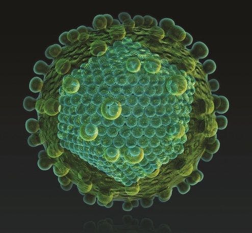 Ribavirin Remains Pivotal Component of Hepatitis C Treatment