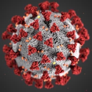 How the SARS-CoV-2 Virus Disguises Itself in the Body