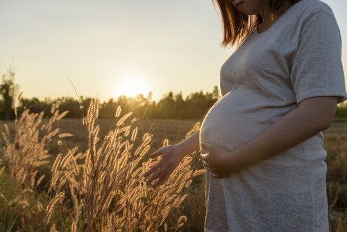 New CDC Data: Up to 40 New Cases of Zika in Pregnant Women Reported Weekly