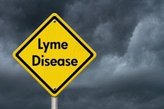 State of Play in Lyme Disease Vaccine Research: Public Health Watch
