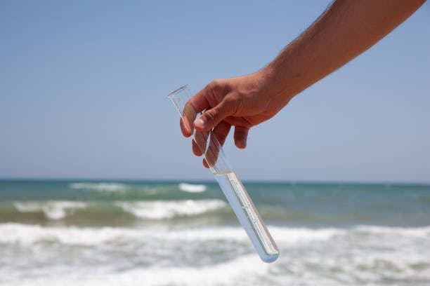 Ecological test of salt water | Image credits : Unsplash