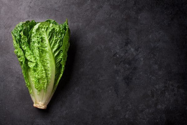 E coli Outbreak Linked with Romaine Lettuce Teaches Important Lesson in Food Safety
