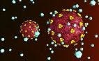 HIV's Disease-producing Potential is Influenced by Two Factors