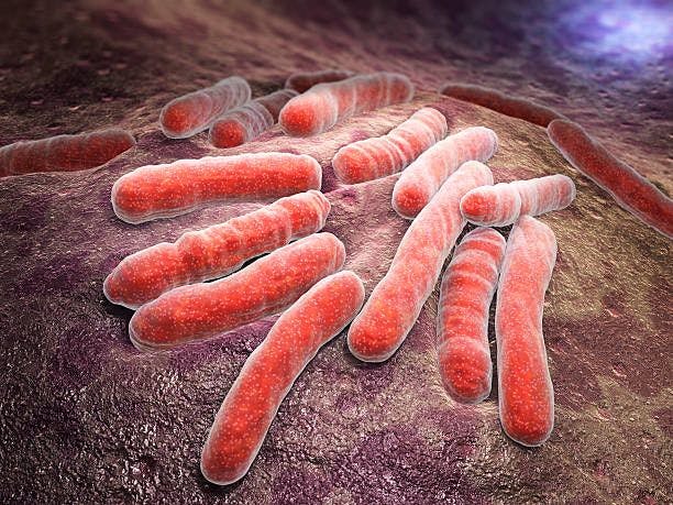 Mycobacterium tuberculosis | Image credits: Unsplash