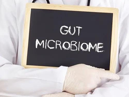 Interaction of Microbes in the Gut May Impact Efficacy of C Diff Treatment