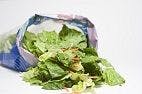 Is Pre-Cut Salad More Prone to Salmonella Contamination?