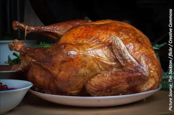 Ahead of Thanksgiving, Here are Turkey Preparation Safety Tips, and Food Recalls