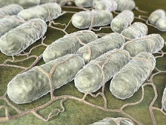 Salmonella Resistant to Colistin Identified in US