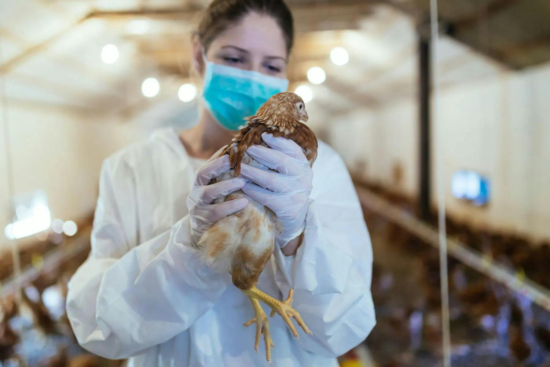 The first case of the H5N1 avian influenza strain was reported in a human in Texas, and public organizations are voicing their concerns over it. 

Image Credit: Hedgehog 94, Adobe Stock