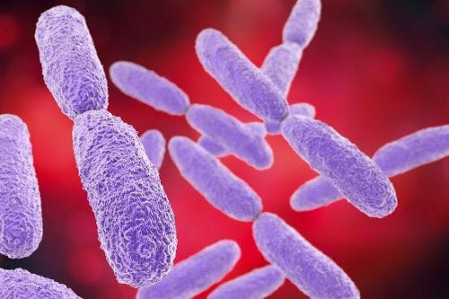 IMI/REL Effective Against Multidrug-Resistant P aeruginosa and Enterobacteriaceae, Including Carbapenem-Resistant K pneumoniae