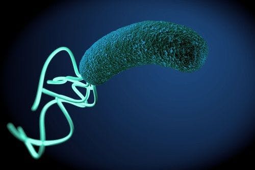 Antibiotic-Resistant H Pylori is on the Rise in Europe