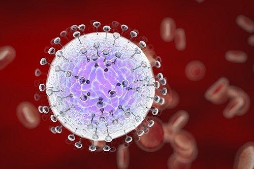 Researchers Identify Strong Drug Candidate for Treatment of Zika Virus