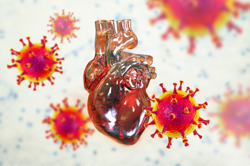 illustration of a heart and covid-19 virus particles