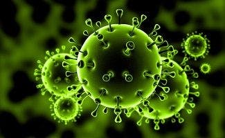 SARS Drug Doesn't Work Against Novel Coronavirus 