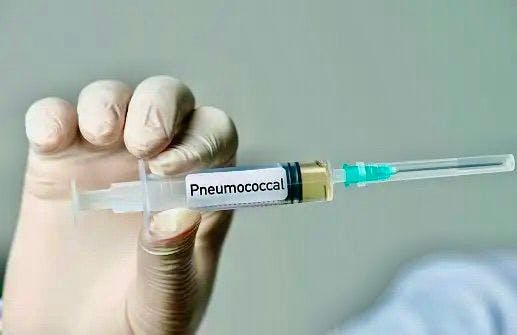 Nurse or doctor holding Pneumococcal Vaccine |Image Credits: Unsplash